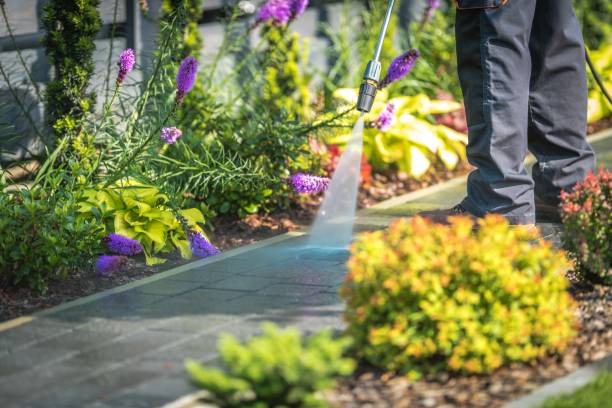 Best Brick and Stone Cleaning in St Ansgar, IA
